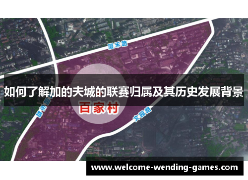 如何了解加的夫城的联赛归属及其历史发展背景