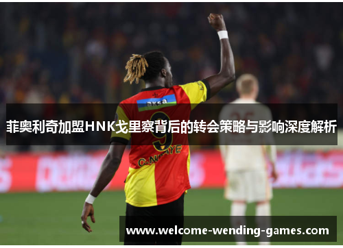 菲奥利奇加盟HNK戈里察背后的转会策略与影响深度解析 菲奥利奇加盟HNK戈里察背后的转会策略与影响深度解析