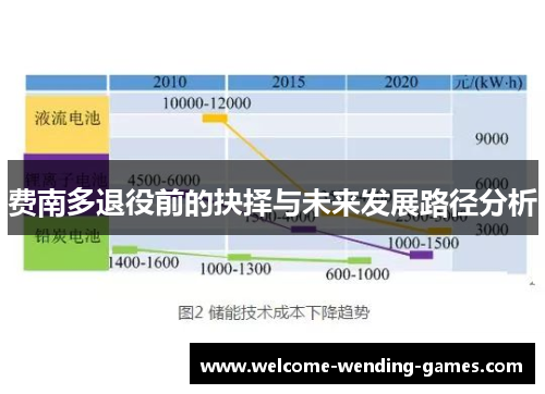 费南多退役前的抉择与未来发展路径分析