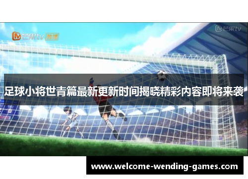 足球小将世青篇最新更新时间揭晓精彩内容即将来袭