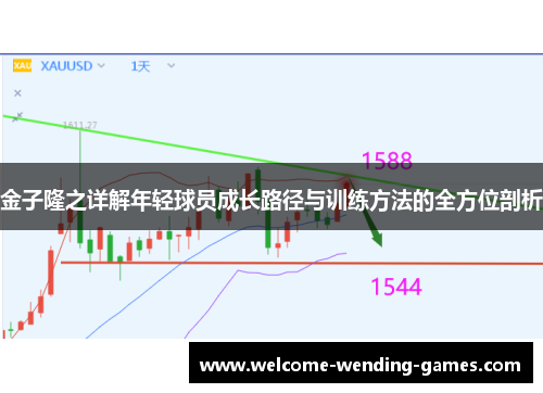 金子隆之详解年轻球员成长路径与训练方法的全方位剖析 金子隆之详解年轻球员成长路径与训练方法的全方位剖析