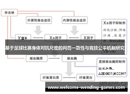基于足球比赛身体对抗尺度的判罚一致性与竞技公平机制研究 基于足球比赛身体对抗尺度的判罚一致性与竞技公平机制研究
